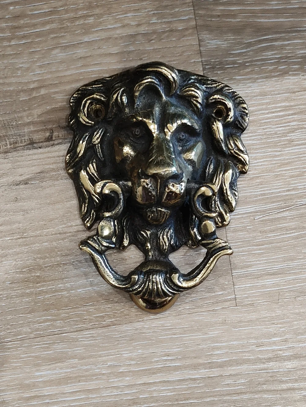 Brass Finish Lion Head Door Hook - Classic Gold Accent